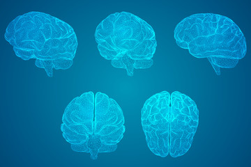 郑州单双号/郑州单双号限行政策