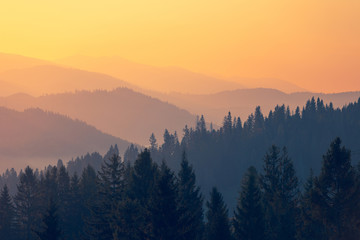 唐山丰润限行扣几分(唐山丰润限号查询2020)