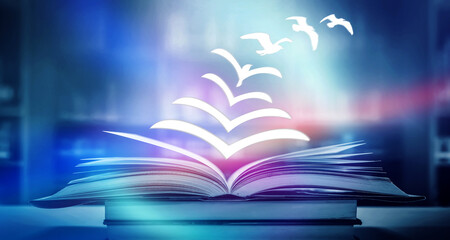 黑暗之女技能改动(黑暗之女带什么召唤师技能)