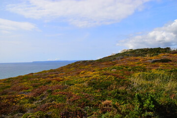雪铁龙升项房车价位(雪铁龙四驱升顶房车国产了吗)