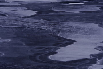 包含上海新增10例本土确诊病例的词条