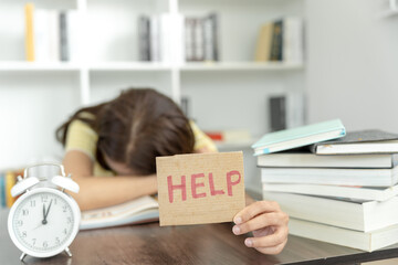 郑州单双号/郑州单双号限行政策