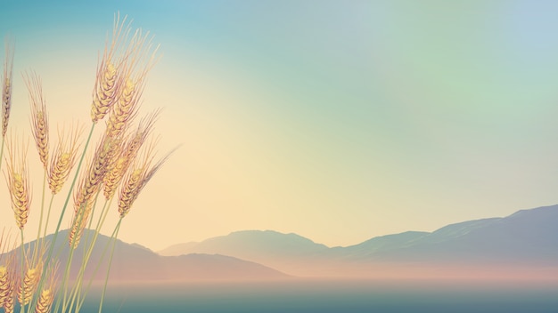 明天唐县限行什么号/请问明天唐县限什么号