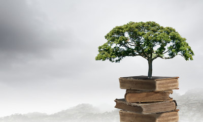 包含上海新增10例本土确诊病例的词条